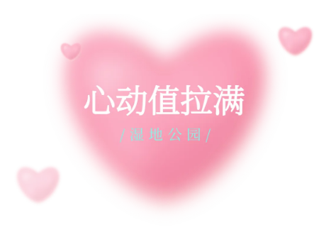 QQ截图20240521142152.png