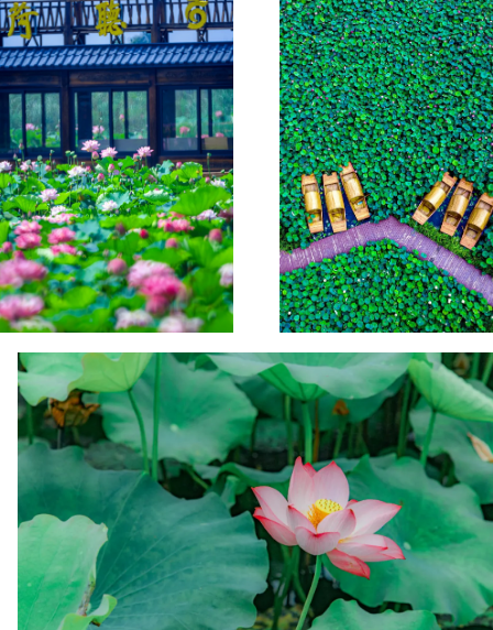 QQ截图20240710210410.png