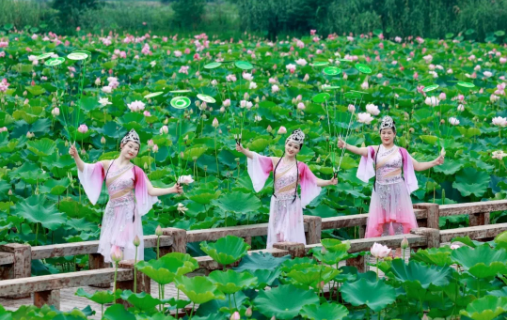 QQ截图20240723133106.png